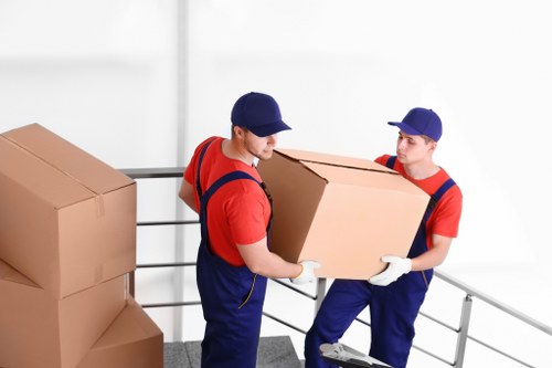 Experienced movers handling packing and loading