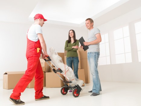 Professional removalists handling household items