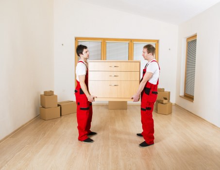 Eco-friendly moving practices in Balmoral